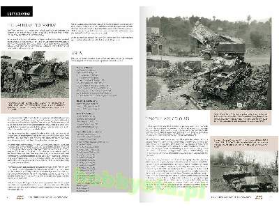 1944 German Armour In Normandy - Camouflage Profile Guide (En) - image 2