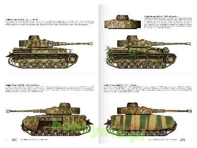 1944 German Armour In Normandy - Camouflage Profile Guide (En) - image 5