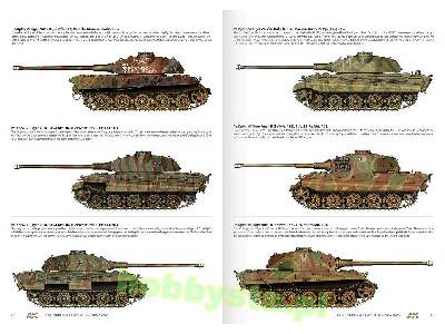 1944 German Armour In Normandy - Camouflage Profile Guide (En) - image 7