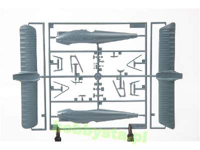 Pfalz D. IIIa 1/48 - image 6