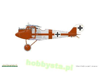 Pfalz D. IIIa 1/48 - image 9