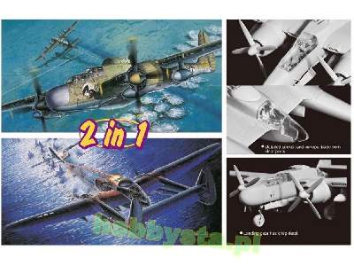 P-61A Black Widow / P-61B Lady of the Dark 2 in 1 - image 2