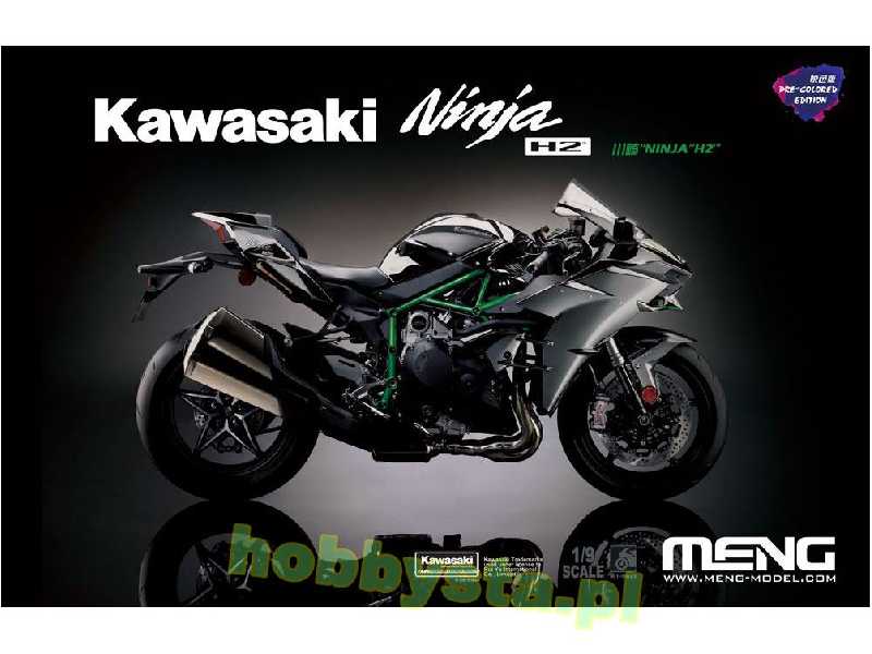 Kawasaki Ninja H2 Pre-coloured - image 1