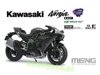 Kawasaki Ninja H2 Pre-coloured - image 2