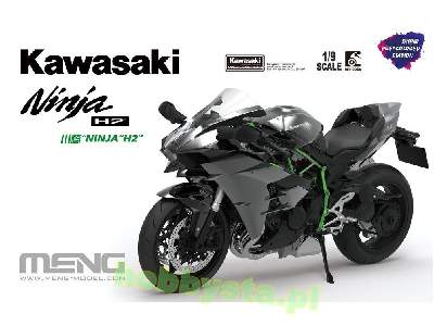 Kawasaki Ninja H2 Pre-coloured - image 3