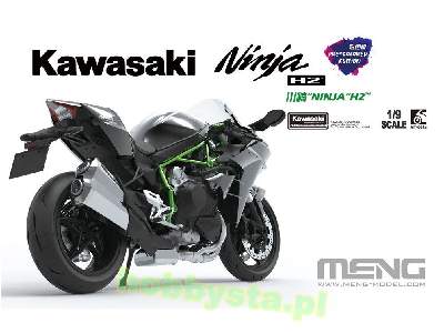 Kawasaki Ninja H2 Pre-coloured - image 4