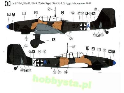 Junkers Ju-87 D-3 North Africa 1942-43 - image 2