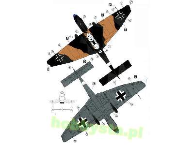 Junkers Ju-87 D-3 North Africa 1942-43 - image 3