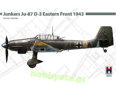 Junkers Ju-87 D-3 Eastern Front 1943 - image 1
