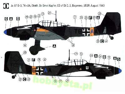 Junkers Ju-87 D-3 Eastern Front 1943 - image 2
