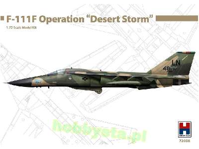 F-111F Operation "Desert Storm" - image 1