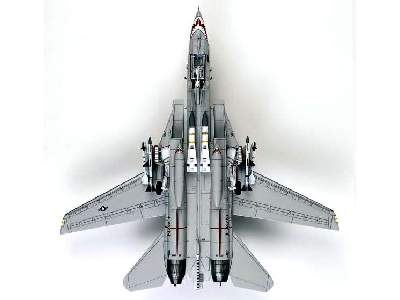 F-14A Tomcat - Sundowners - image 6