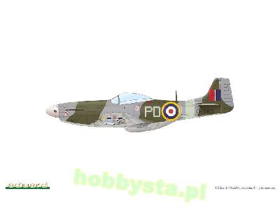 Mustang Mk.IV - image 2