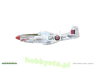 Mustang Mk.IV - image 3