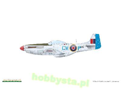 Mustang Mk.IV - image 4