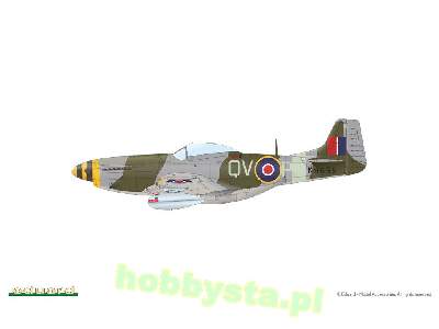 Mustang Mk.IV - image 5