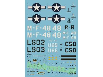FM-2 Wildcat Training Cats Limited Edition - image 2