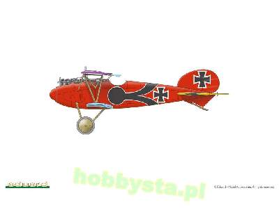 Albatros D. V 1/72 - image 5