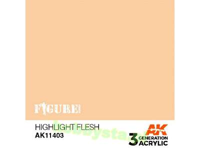 AK 11403 Highlight Flesh - image 1
