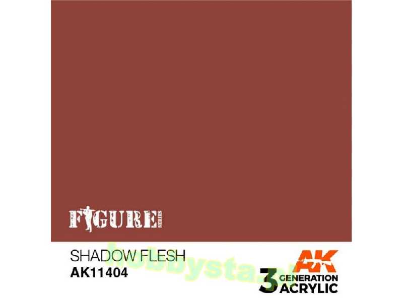 AK 11404 Shadow Flesh - image 1