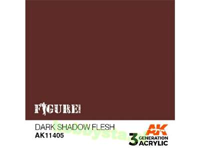 AK 11405 Dark Shadow Flesh - image 1
