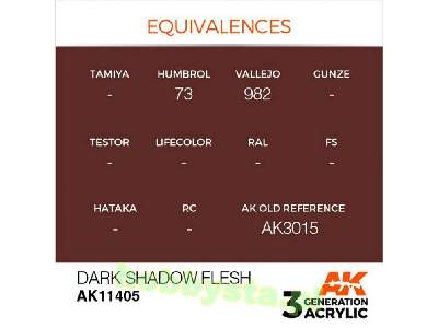 AK 11405 Dark Shadow Flesh - image 3