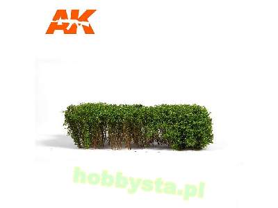 Spring Green Shrubberies 75mm / 90mm - image 2
