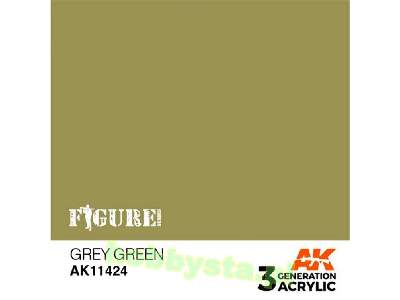 AK 11424 Grey Green - image 1