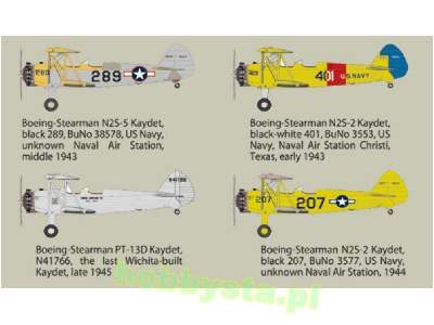 Boeing Stearman PT-13 Kaydet - image 3