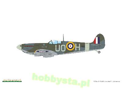 Spitfire Mk. IIb 1/48 - image 14