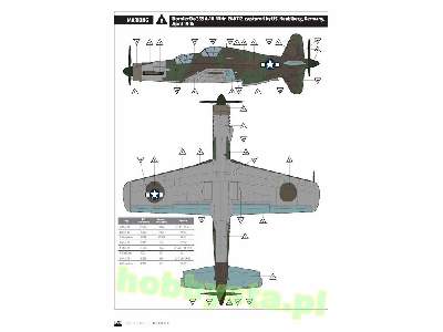 Dornier Do 335 A-10 Trainer - image 16