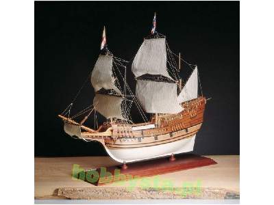 Mayflower - image 2