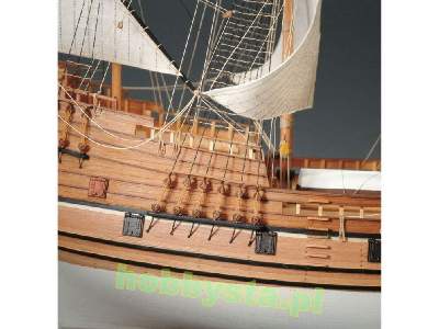 Mayflower - image 3