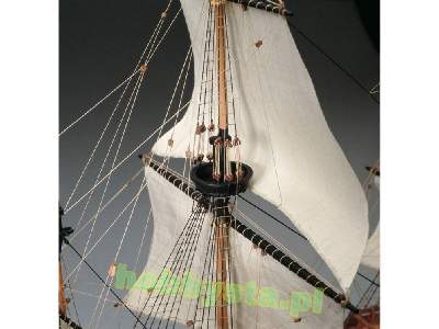 Mayflower - image 4