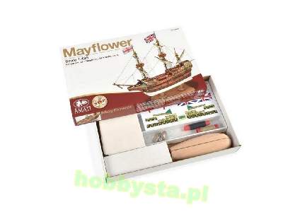 Mayflower - image 2