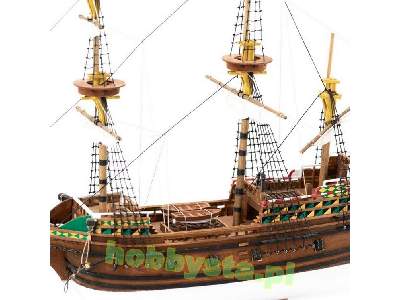 Mayflower - image 13