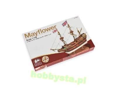 Mayflower - image 17