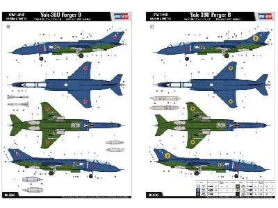 Yak-38U Forger B - image 4