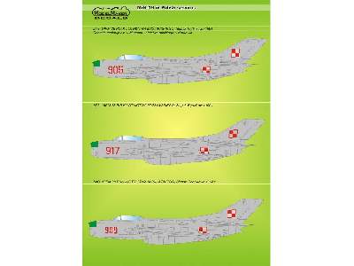 Mig-19 In Polish Service - image 3