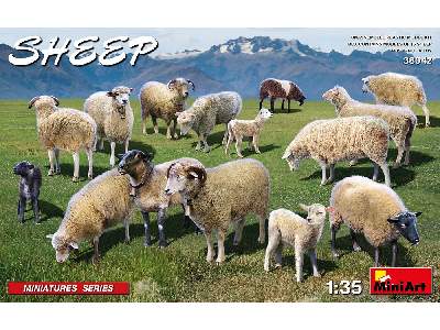 Sheep - image 1