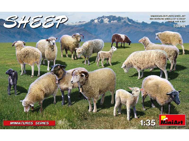 Sheep - image 1
