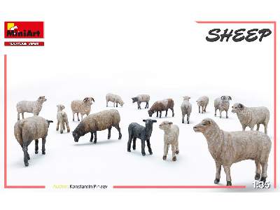 Sheep - image 6