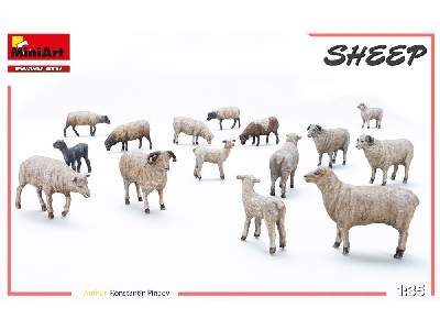 Sheep - image 7