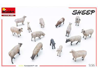 Sheep - image 8
