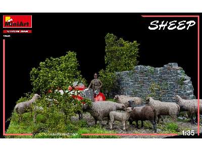 Sheep - image 10