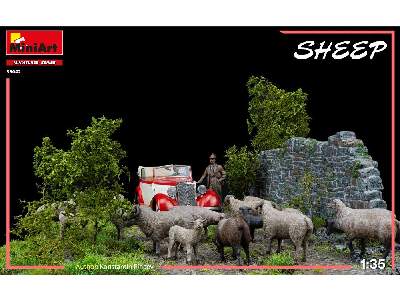 Sheep - image 23