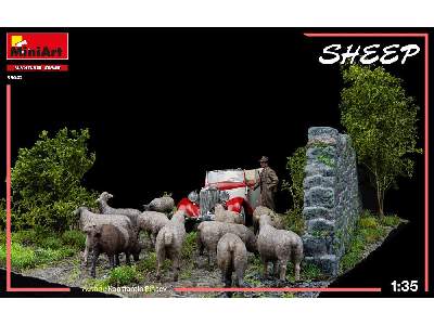 Sheep - image 24