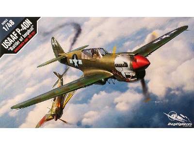 USAAF P-40N - Battle of Imphal - image 1