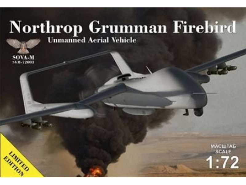 Northrop Grumman Firebird Unmanned Aerial Vehicle - image 1