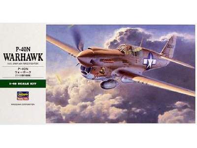 P-40n Warhawk - image 1